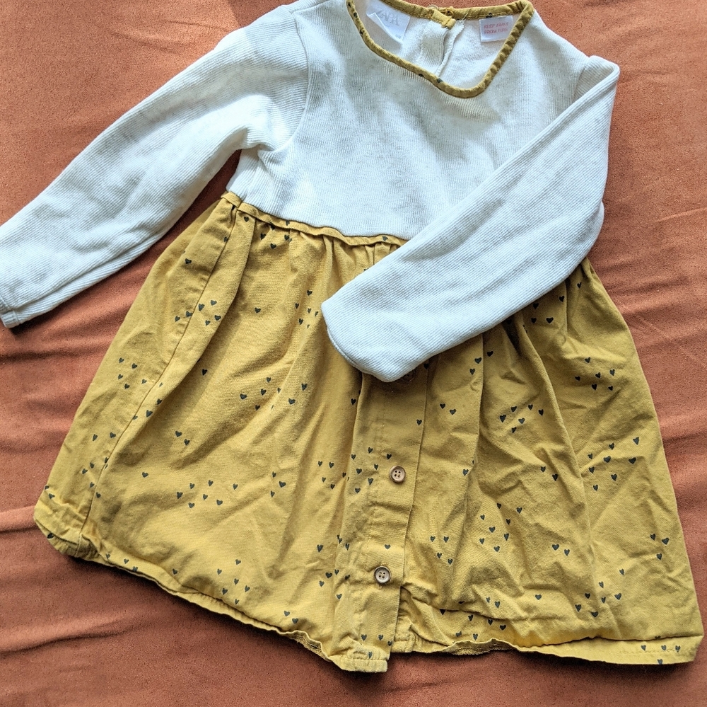 Zara Long Sleeve Dress
